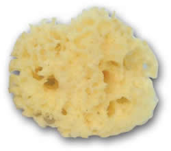 Cosmetic Natural Sea Sponge